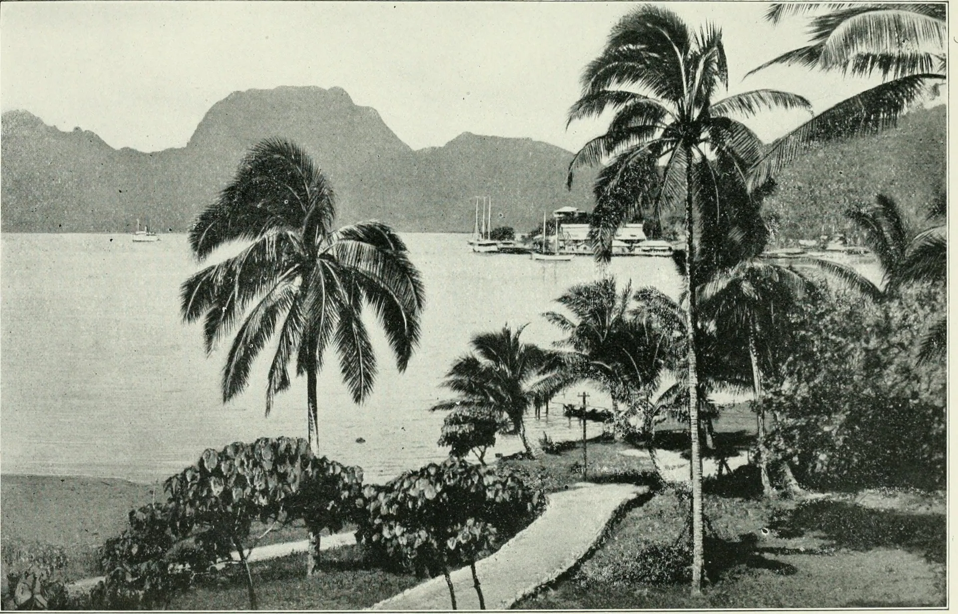 Forty years on the Pacific - the lure of the great ocean, a book of reference for the traveler and pleasure for the stay-at-home (1920)