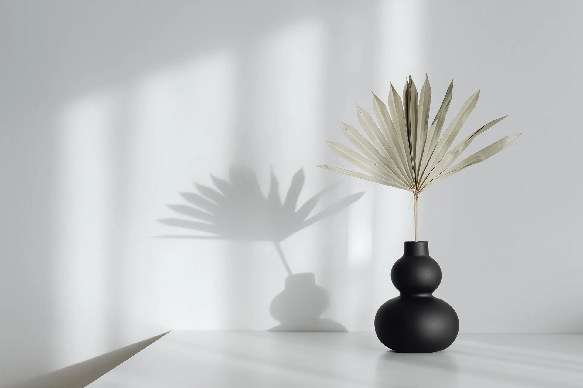 A black vase with a dried palm leaf casting a shadow on white wall.