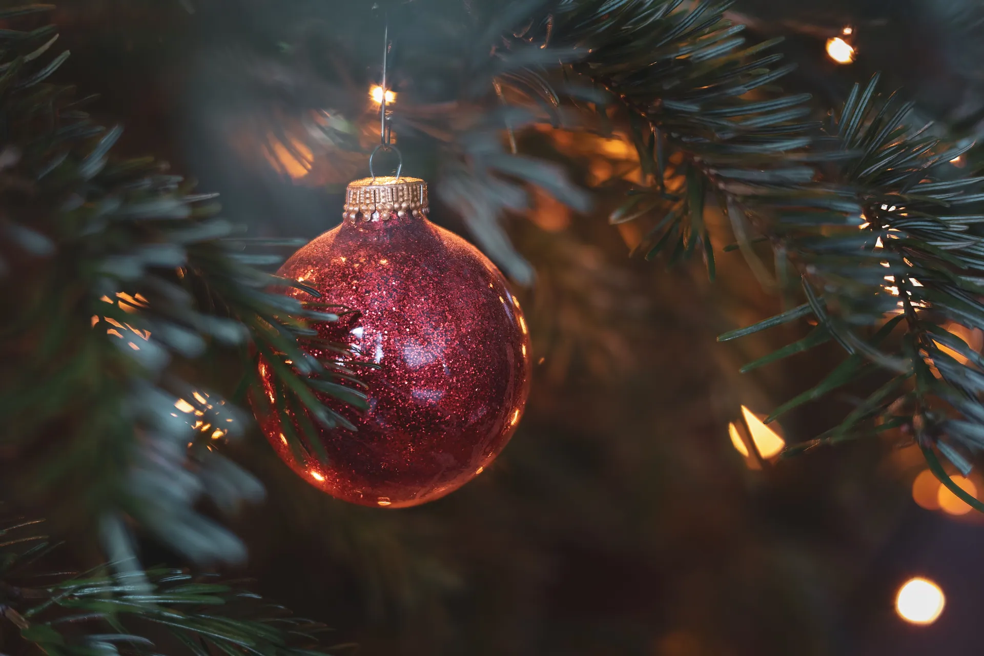 Close-up of a red Christmas ornament hanging on a tree branch with bokeh lights.