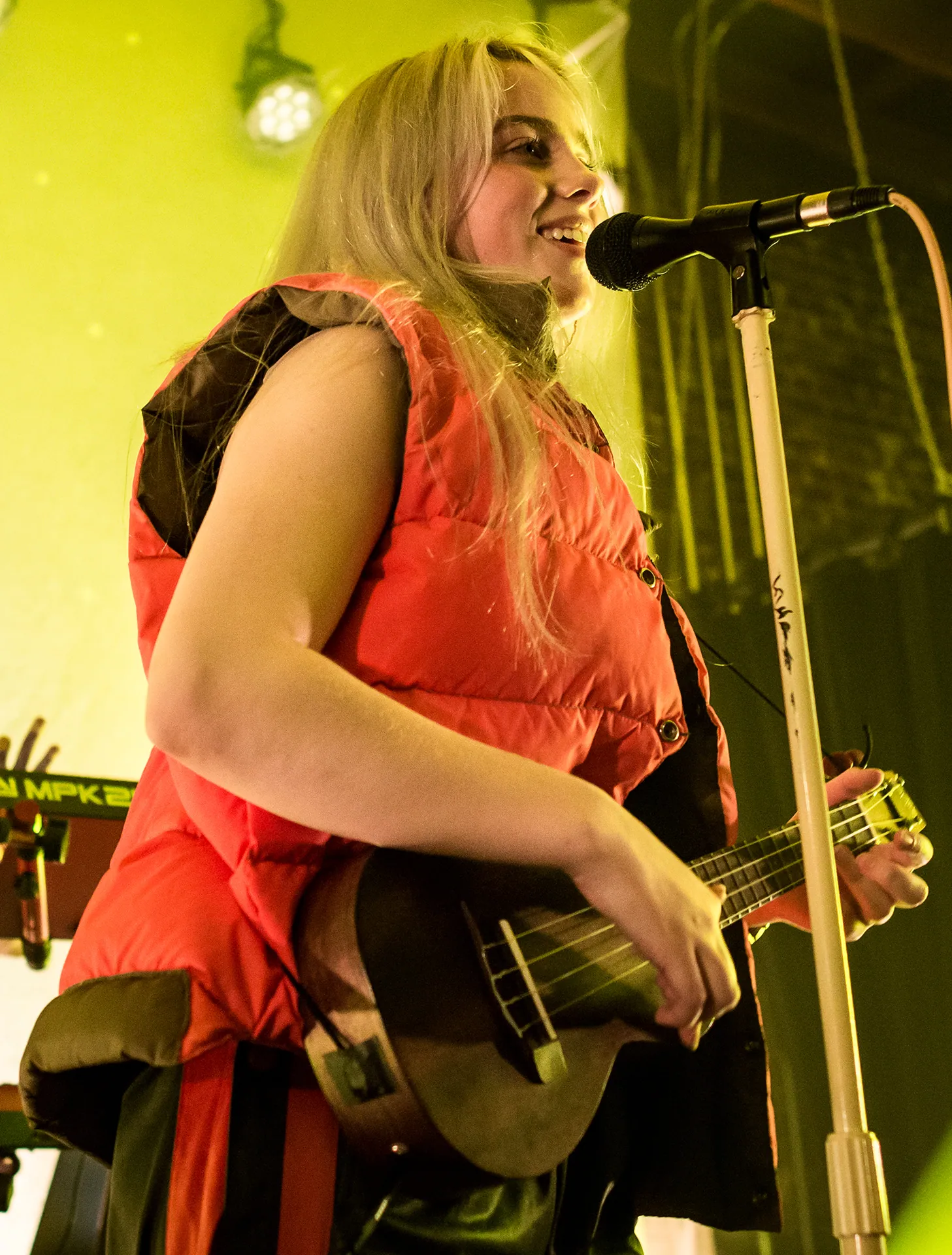 Billie Eilish - Los Angeles 2017 (13) (cropped)