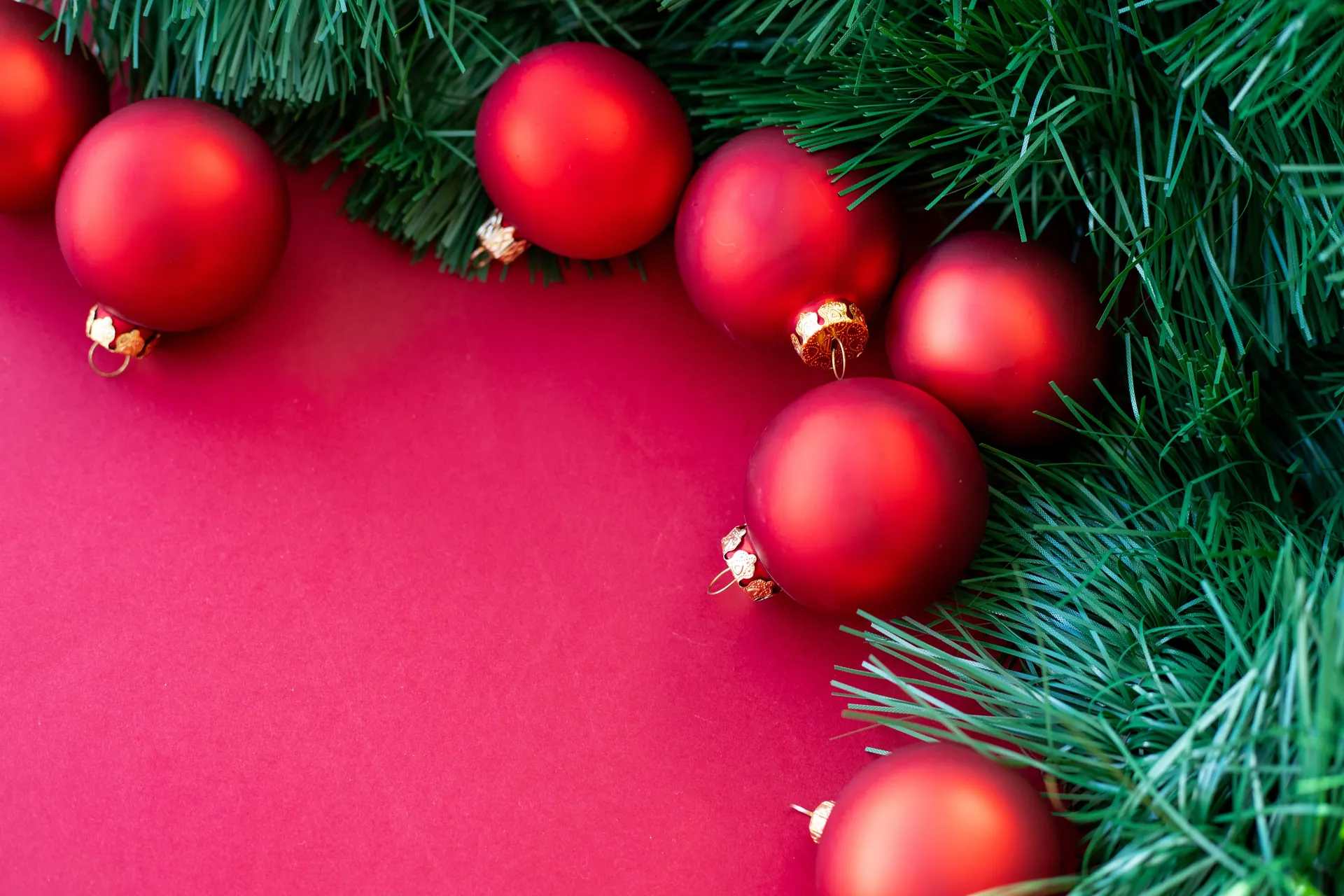 Bright red Christmas ornaments nestled among lush green pine leaves, perfect for festive decoration themes.