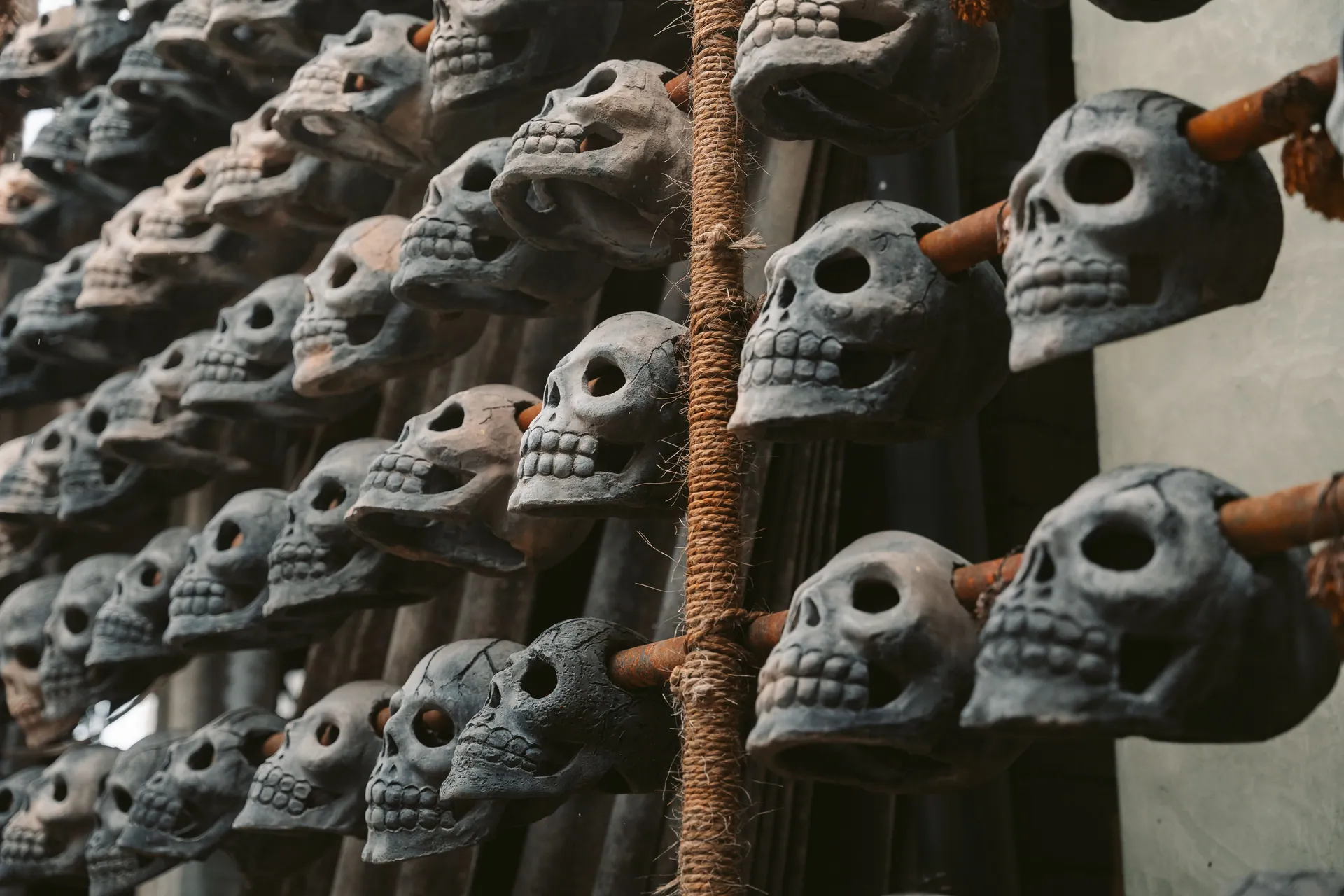 Artistic display of traditional skulls in Oaxaca de Juárez, capturing cultural heritage.