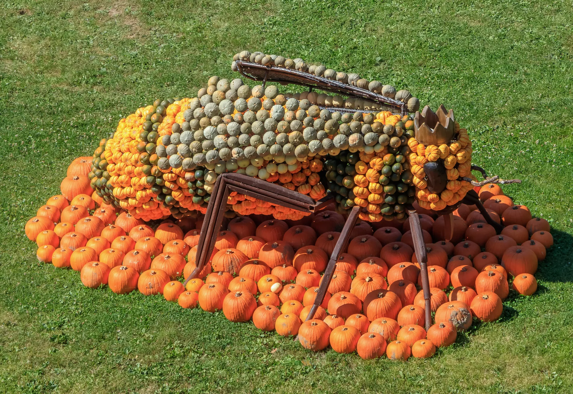 Pumpkin festival - Ludwigsburg 2024 - 28