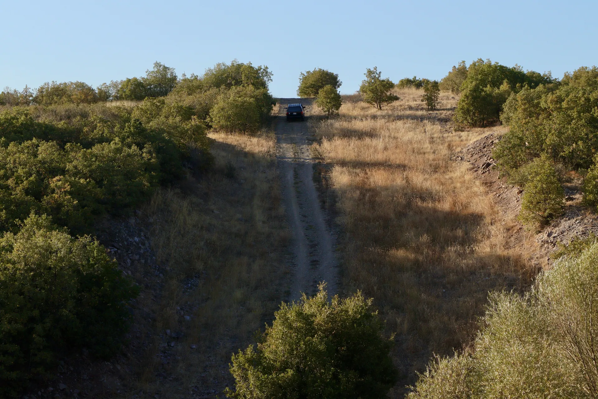 A vehicle climbs a hillside dirt road surrounded by trees in a sunny summer setting.