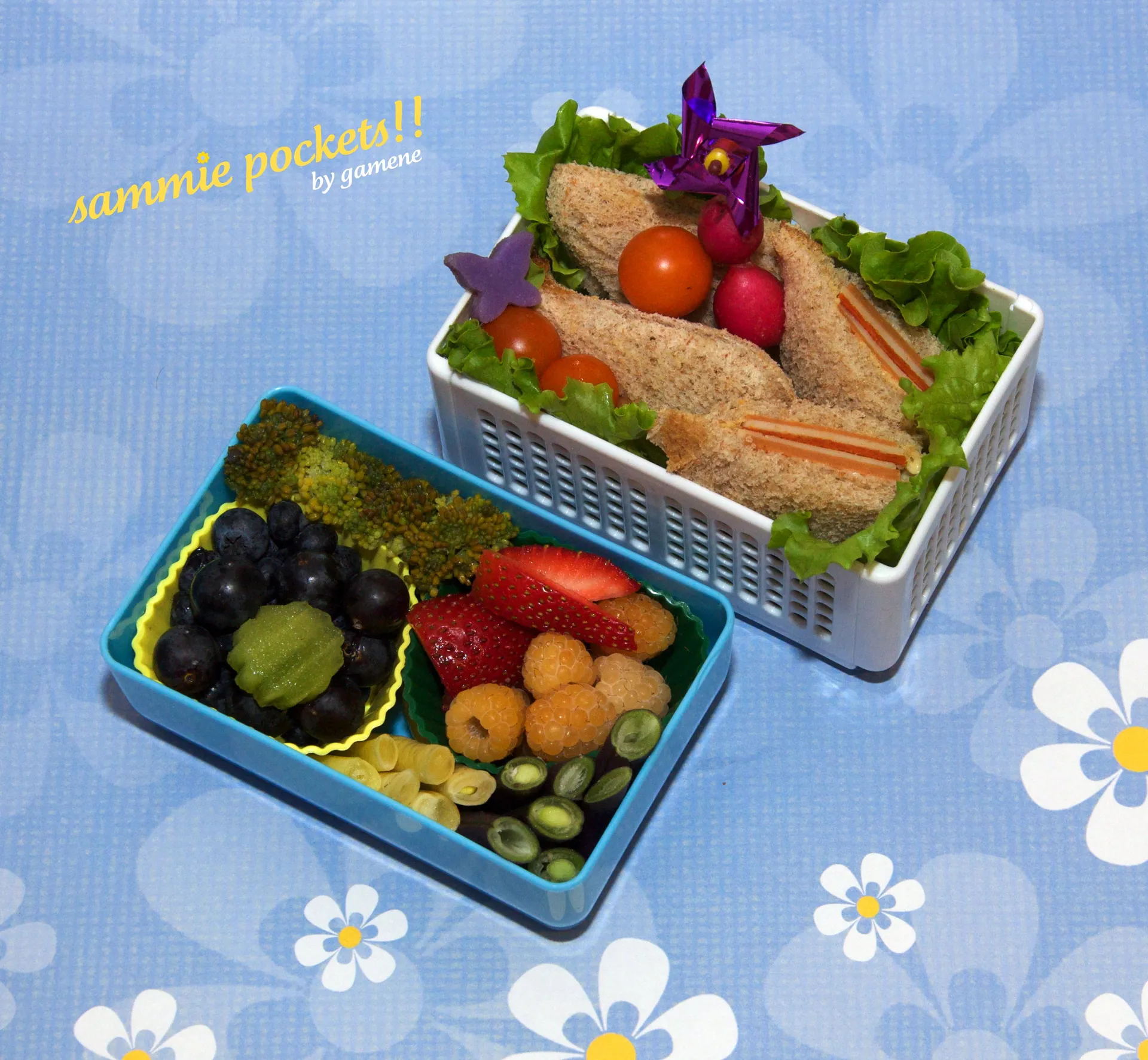 Sammie pocket bento