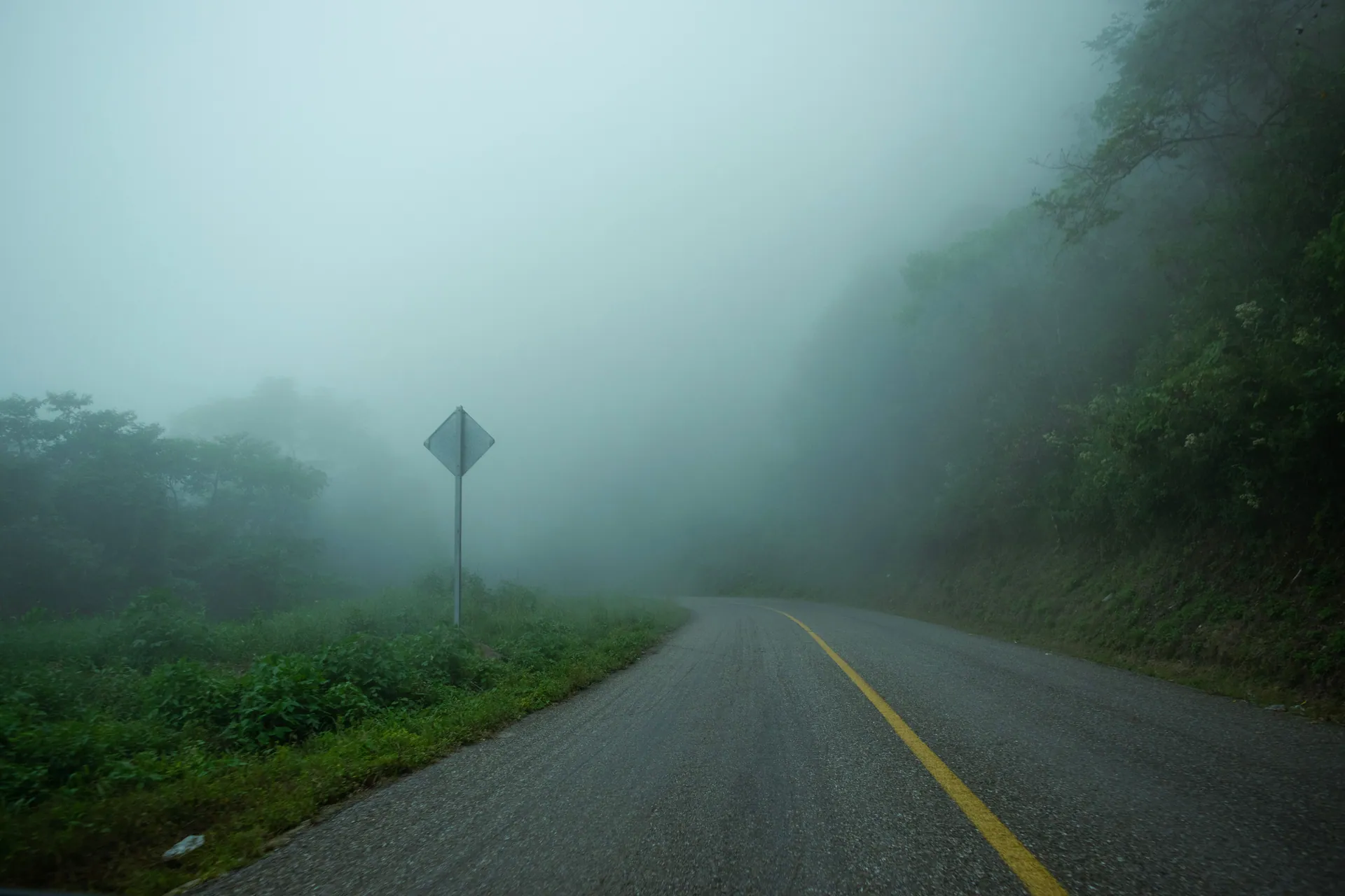 Curved rural road enveloped in dense fog creating a mysterious forest atmosphere.