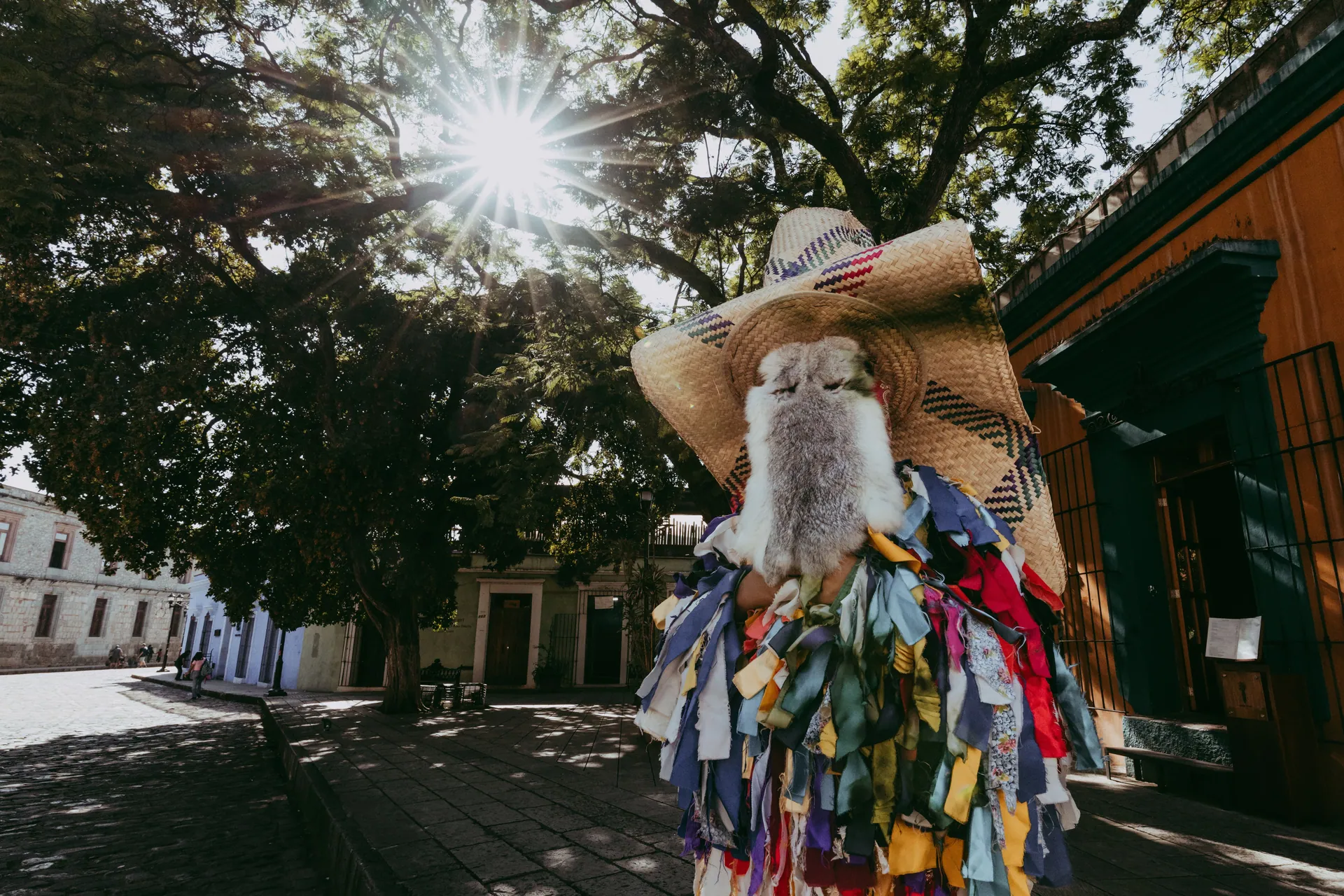 Vibrant festival scene with person in colorful costume under sunlit tree in Oaxaca.