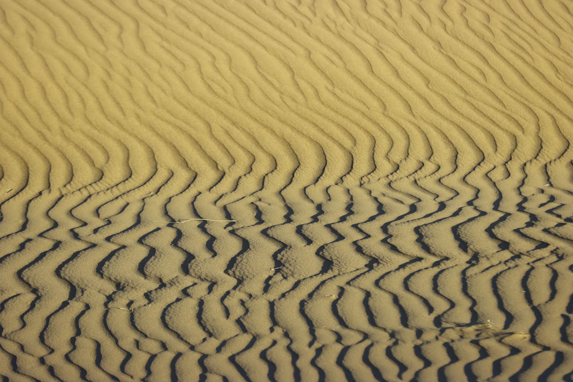 A sand dune in the Maranjab Desert, located in the middle of the Kavir National Park IRAN 30