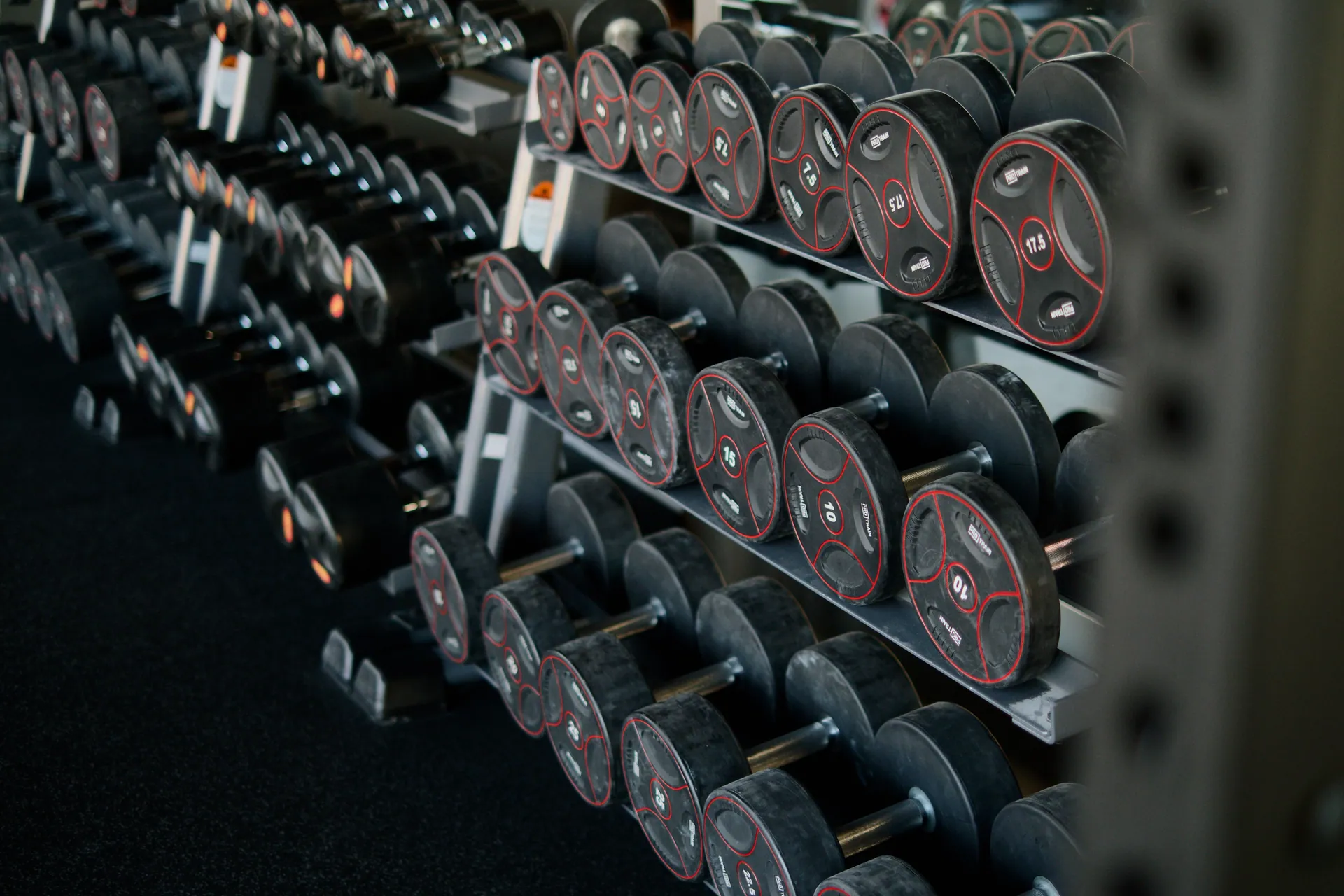 A neatly arranged set of dumbbells on a rack in a modern gym, ideal for fitness enthusiasts.