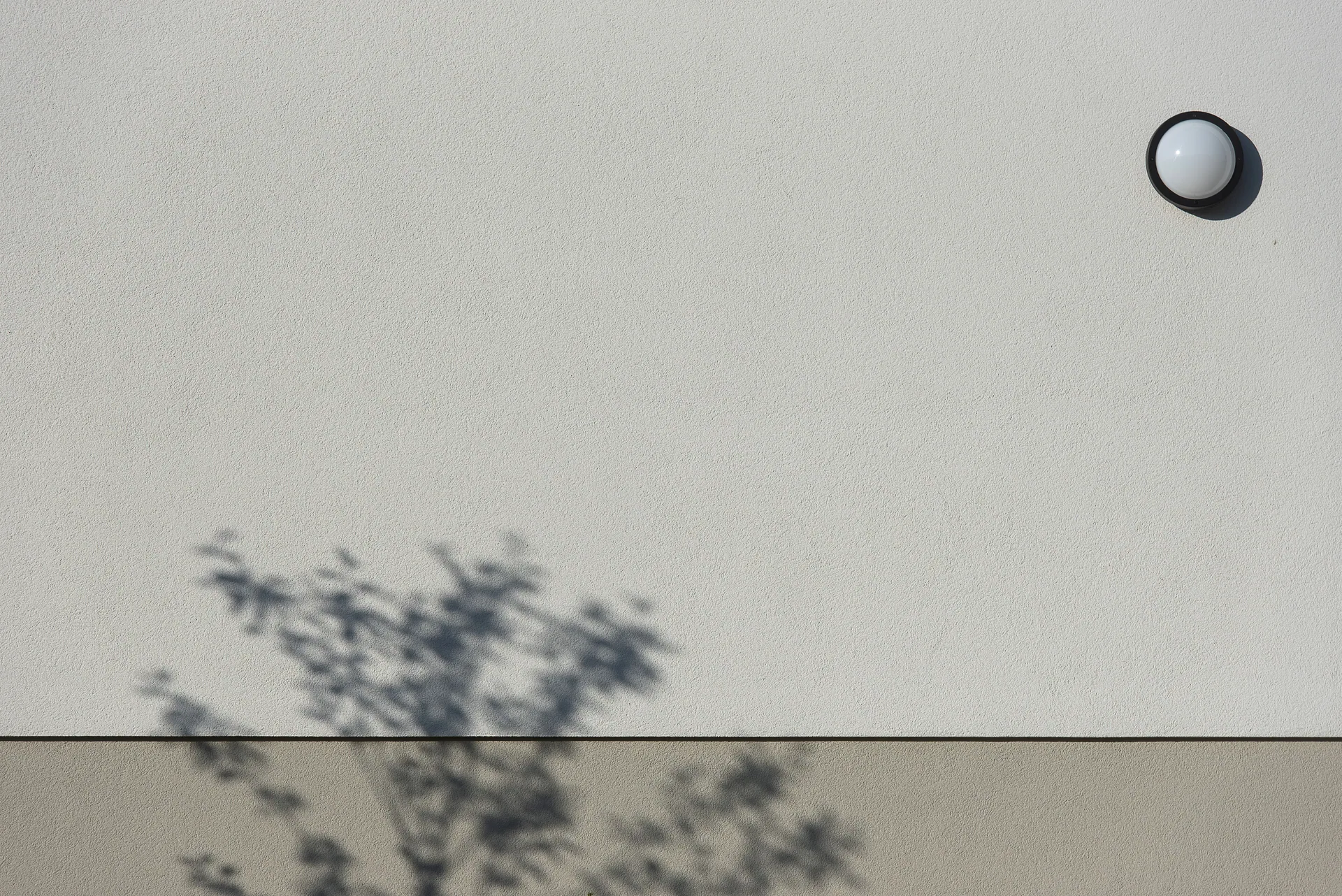 Simple exterior wall with a tree shadow and round light fixture creating a minimalist scene.