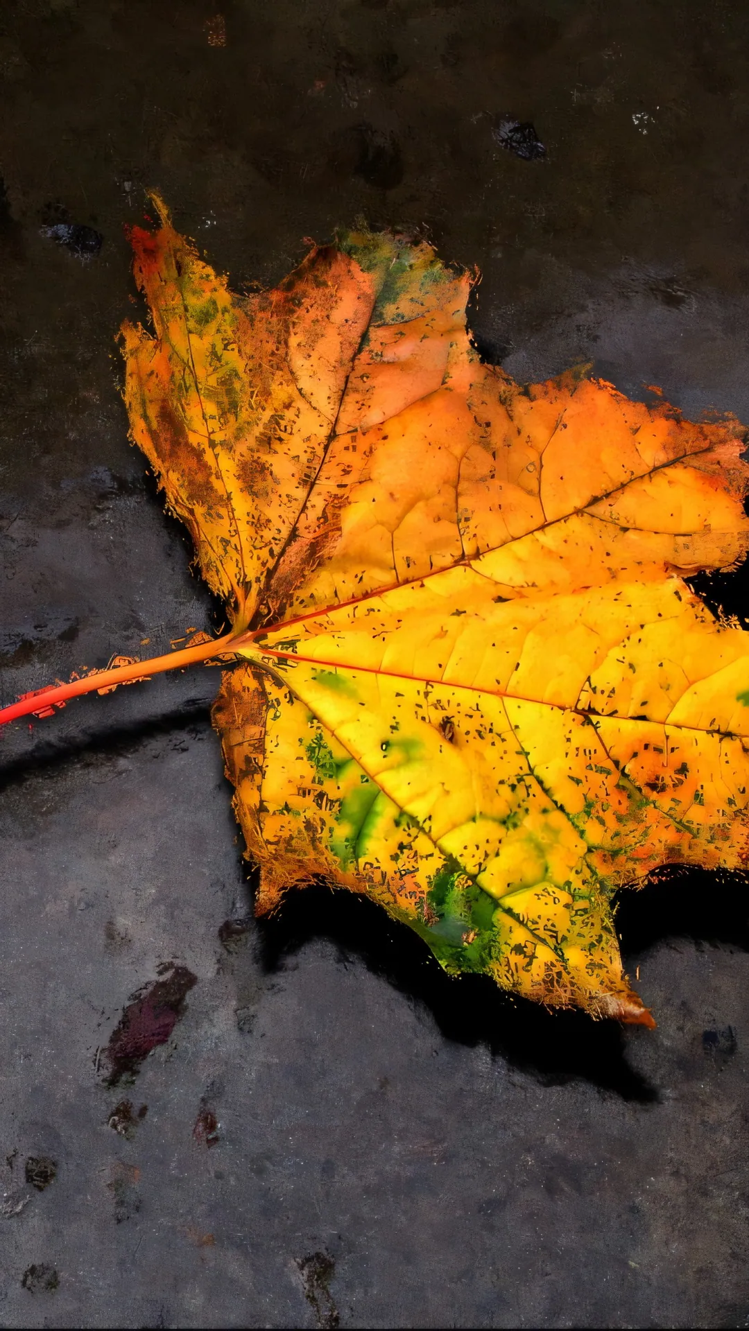 n97-wallpapers-19