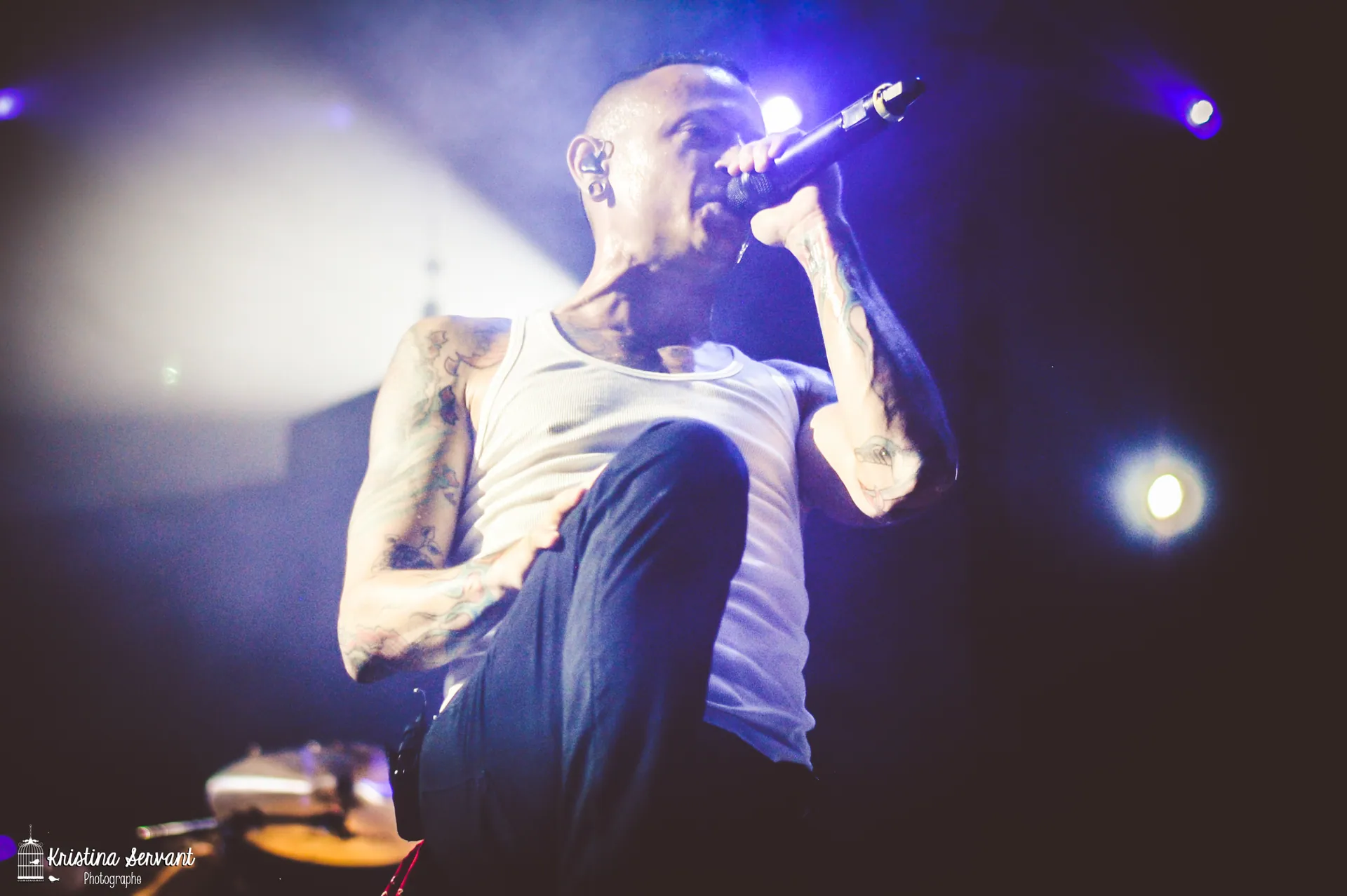 Linkin Park The Carnivores Tour 2014 10