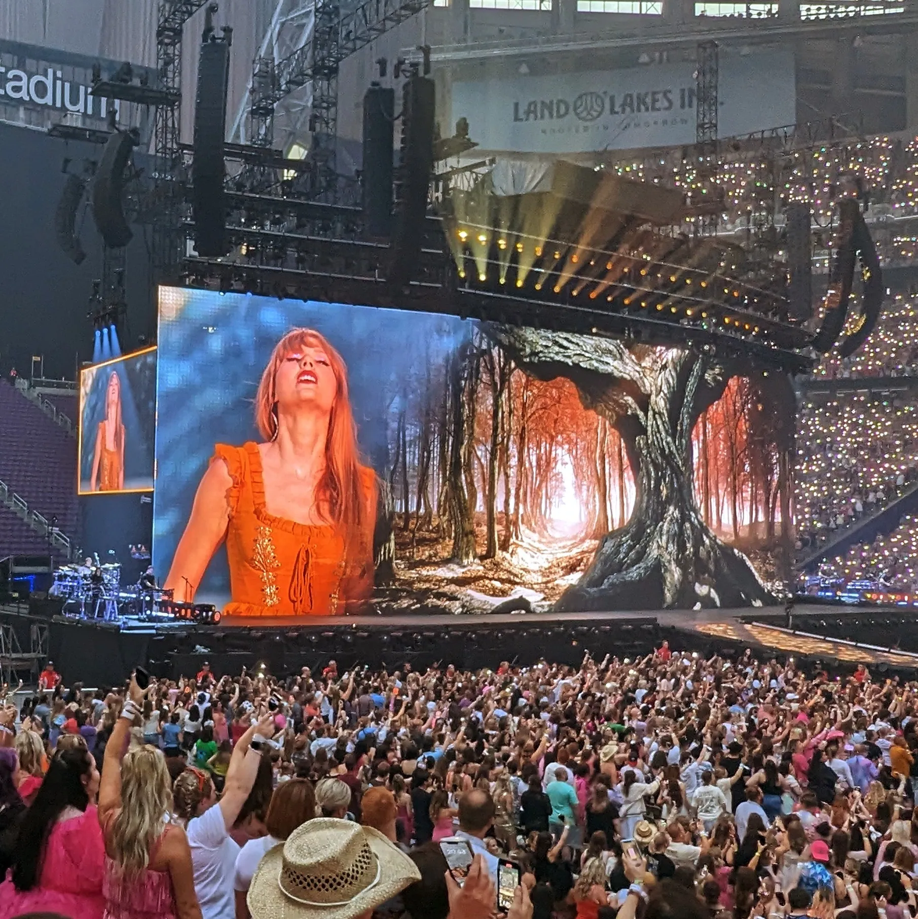 Eras Tour - Minneapolis, MN - Evermore act (cropped)
