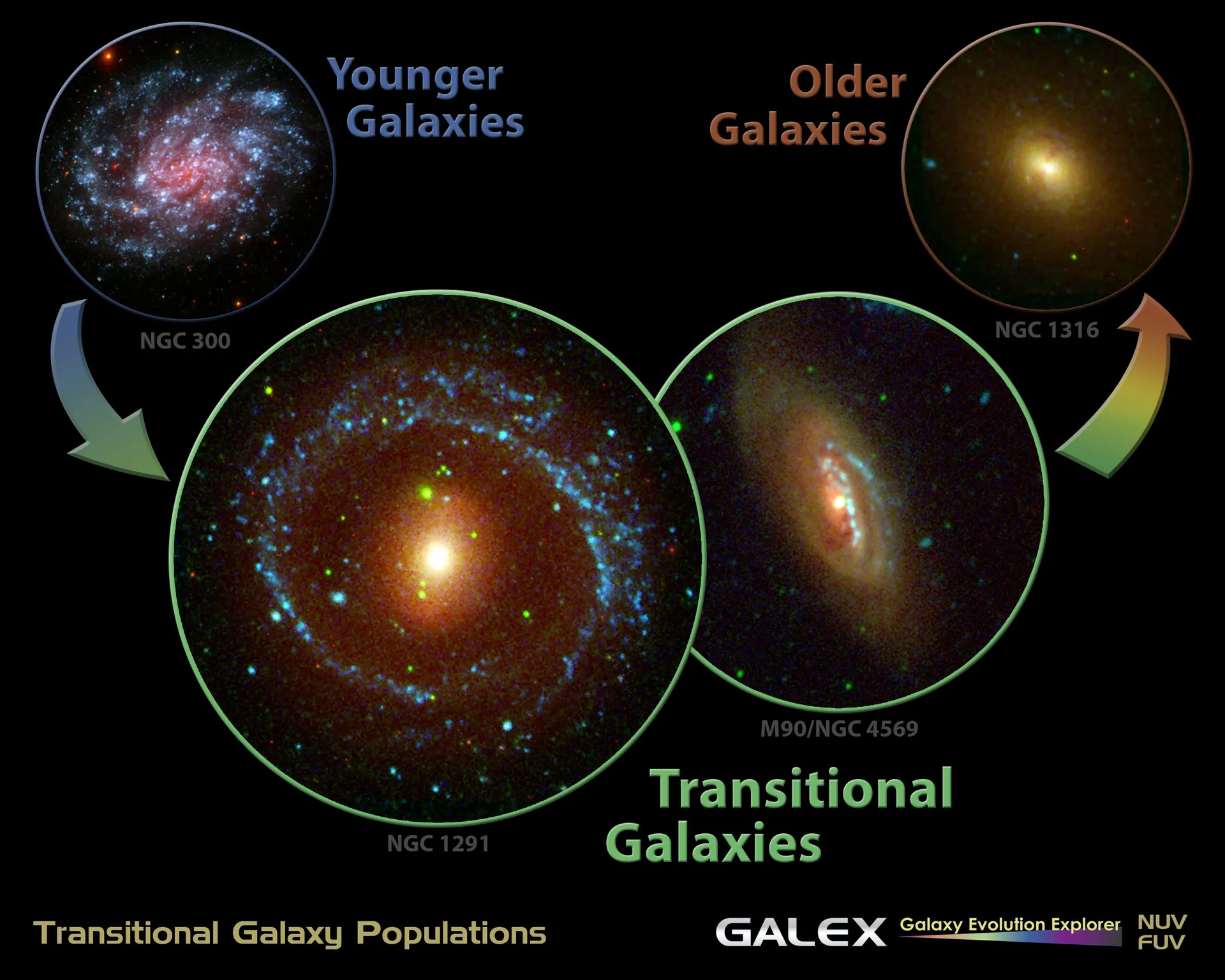 Portrait of a Galaxy Life
