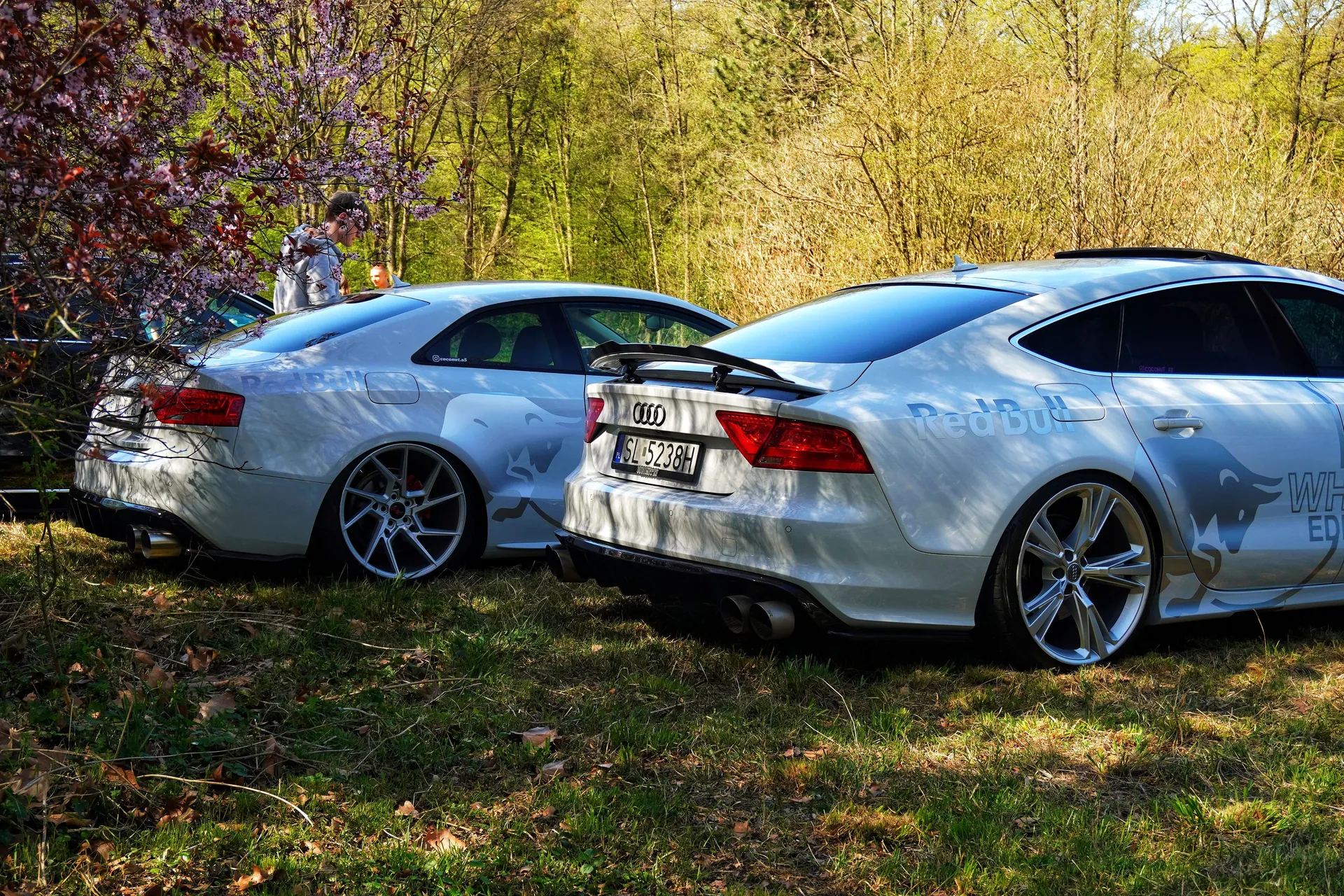 Two sleek Audi cars parked in a scenic woodland setting during springtime, adding a touch of luxury to the natural landscape.