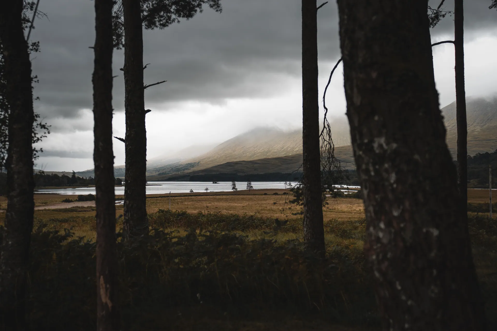 Dramatic landscape featuring mountains, lake, and cloudy sky viewed through forest trees.
