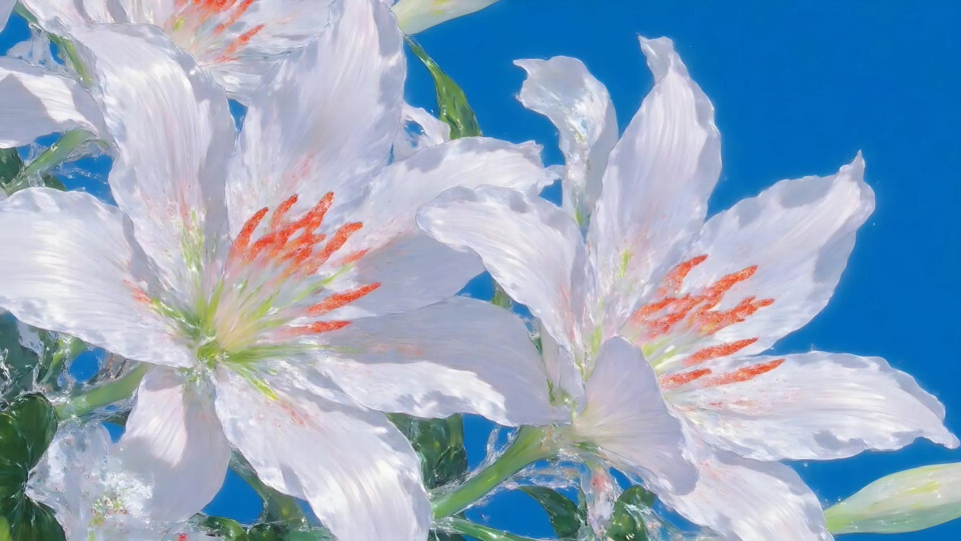 Radiant White Lilies in Blue Sky - backiee