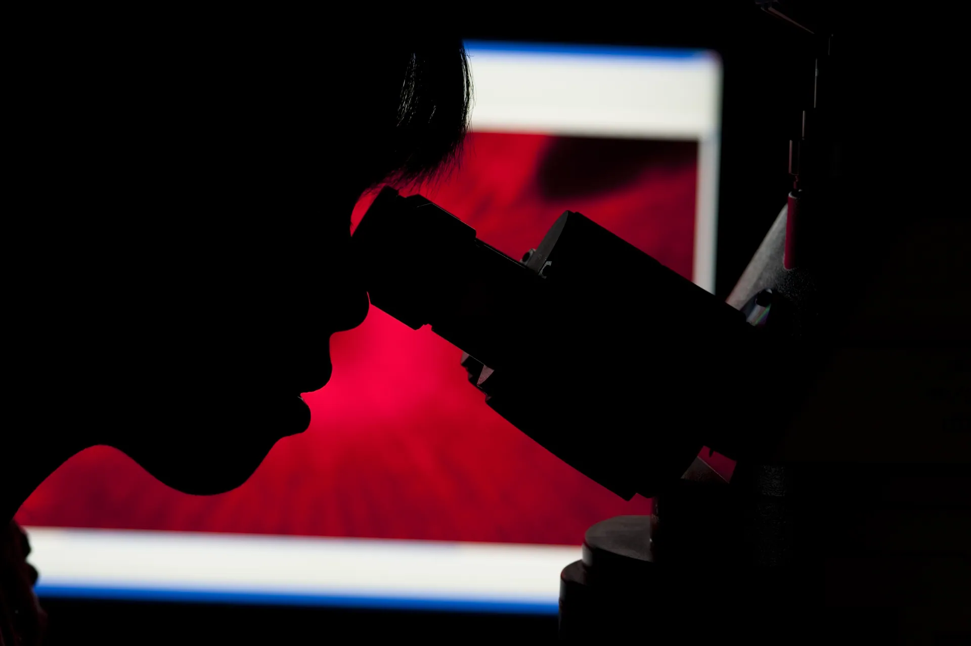 Observing through a Microscope
