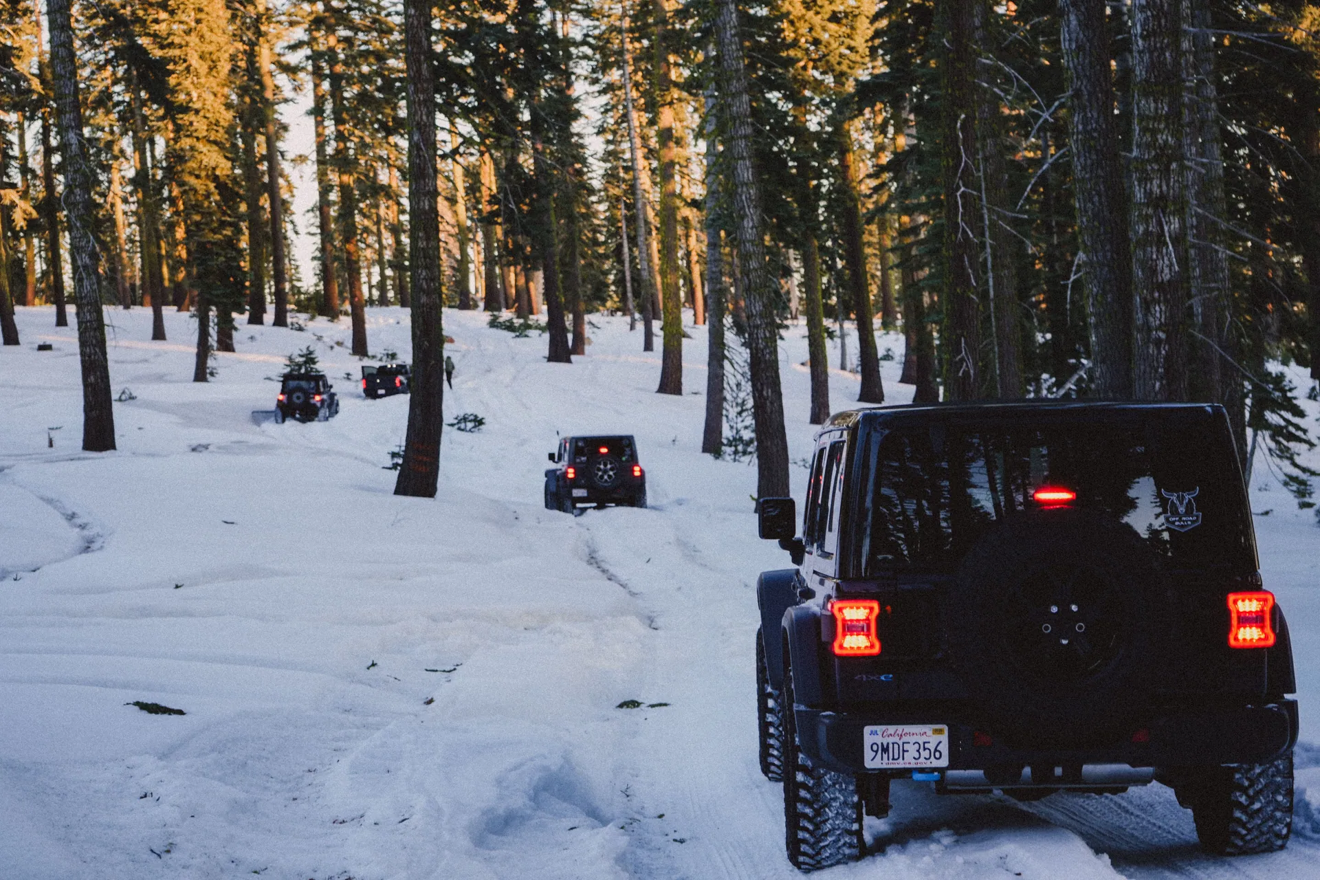 Jeeps driving through a snow-covered forest in a winter adventure scene.