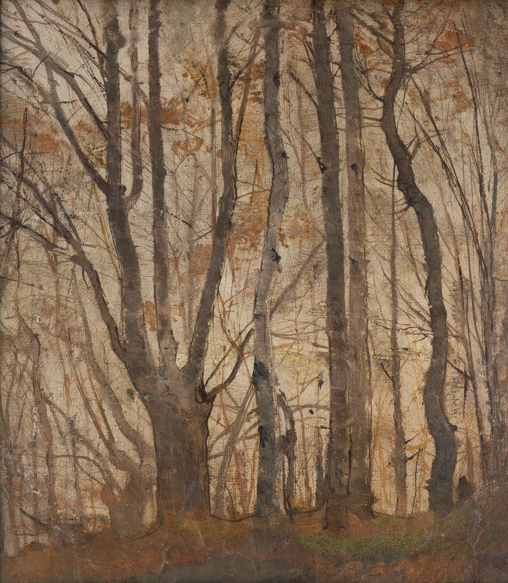 Ladislav Mednyánszky - Autumn Forest - O 888 - Slovak National Gallery