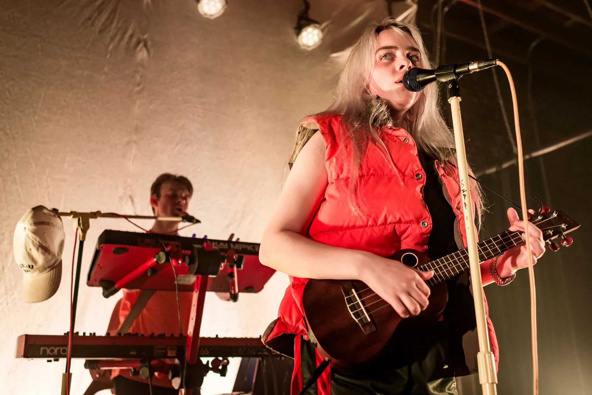 Billie Eilish - Los Angeles 2017 (15)