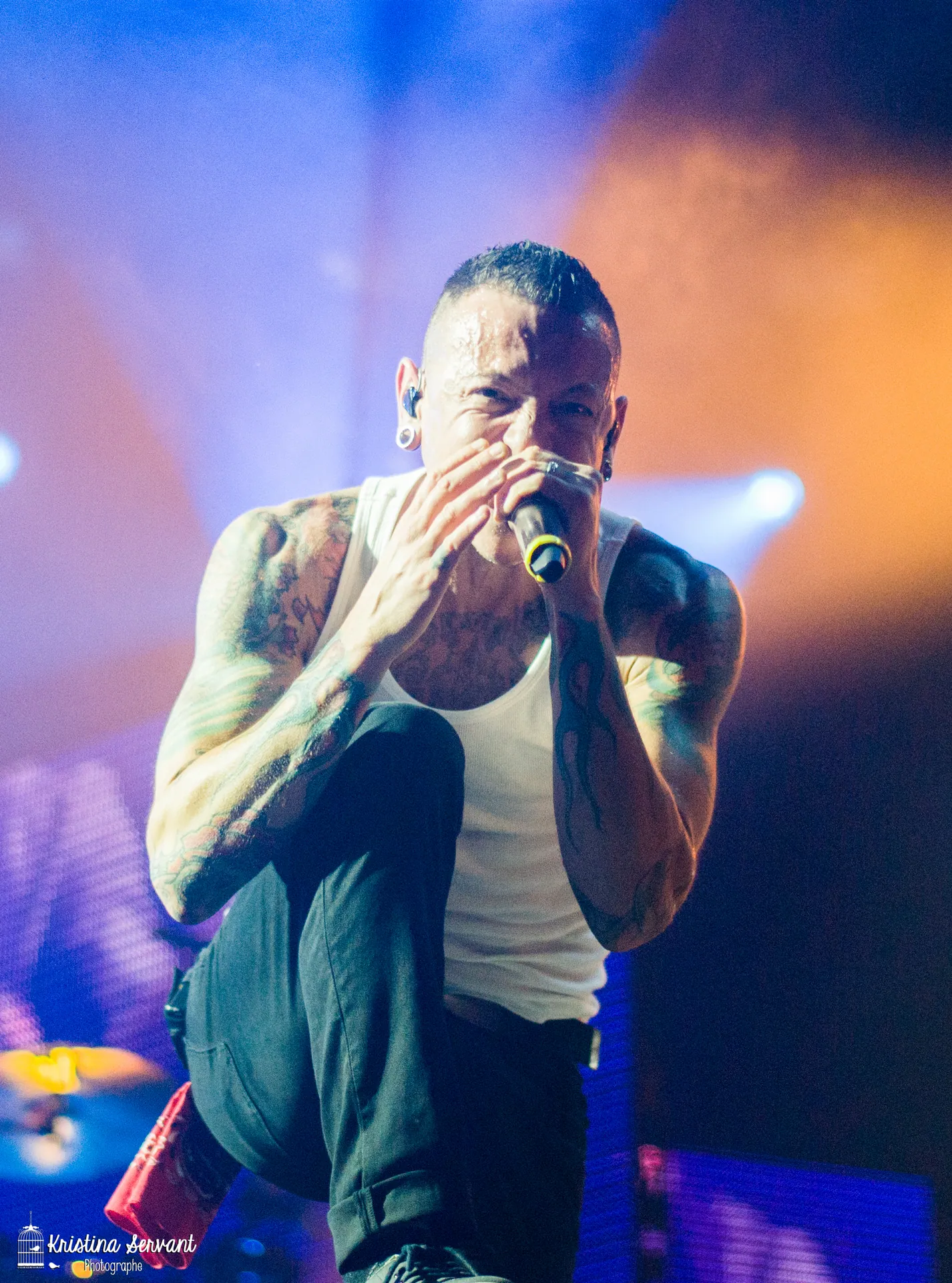 Linkin Park The Carnivores Tour 2014 03