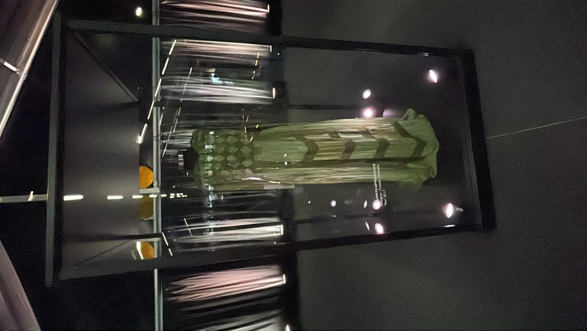Adele grammy dress