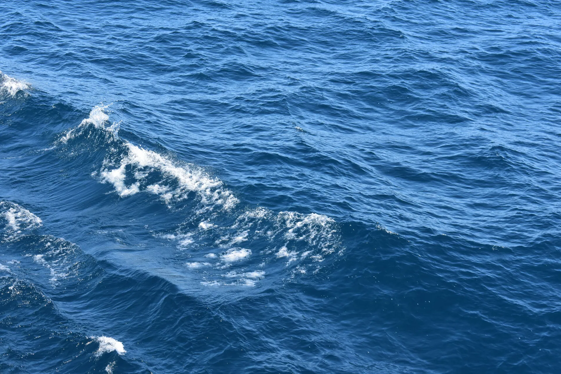Close-up view of dynamic ocean waves and blue sea with white caps on a sunny day.
