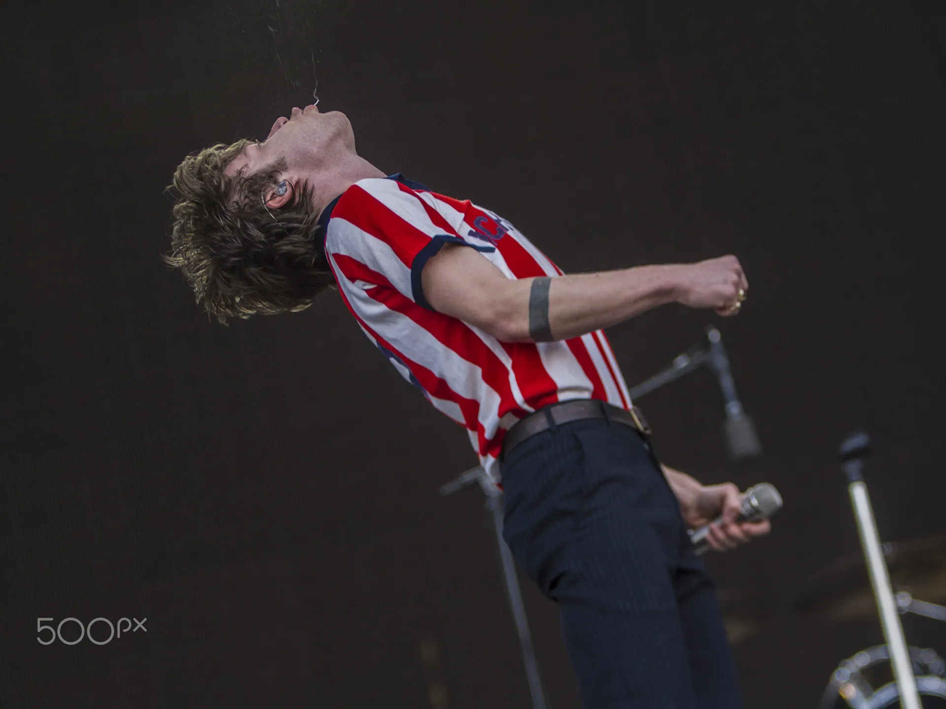 Cage The Elephant