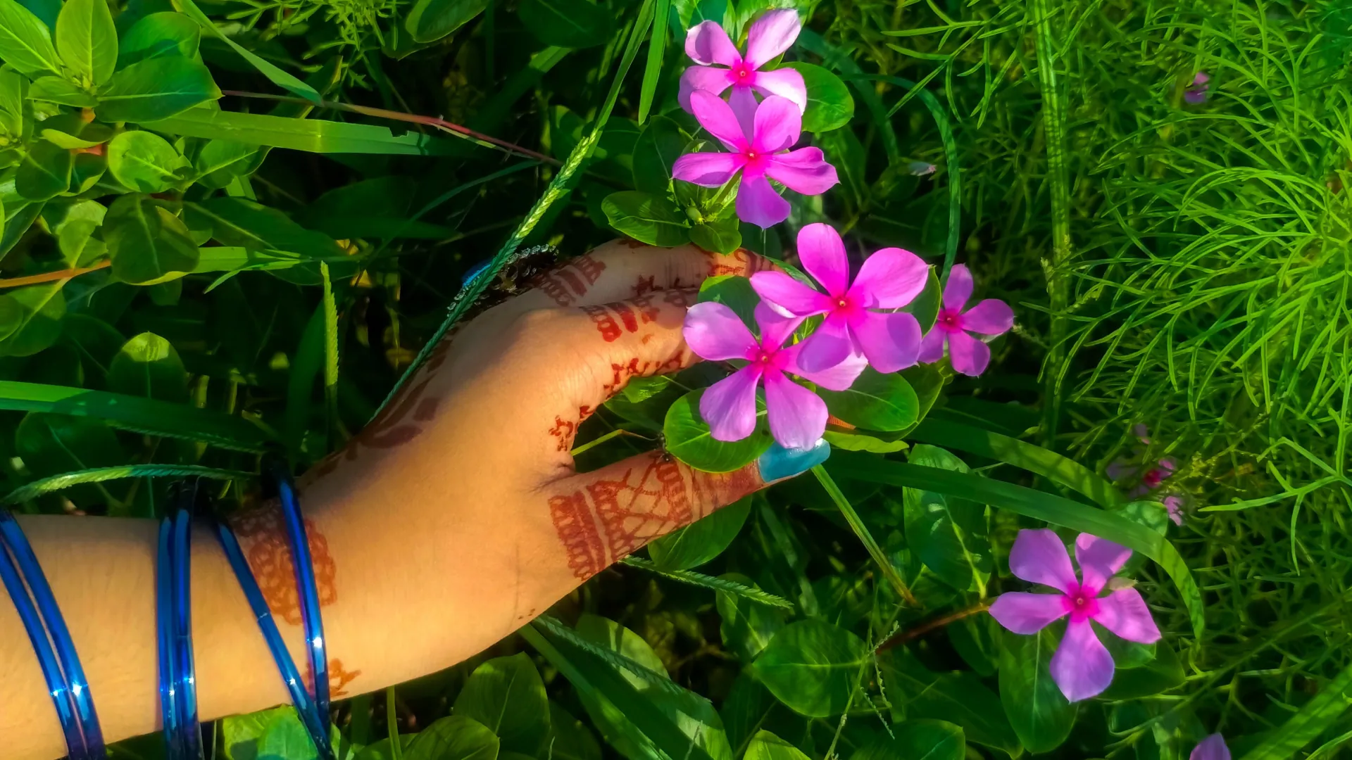 Pink Blooms and Mehndi Grace - backiee