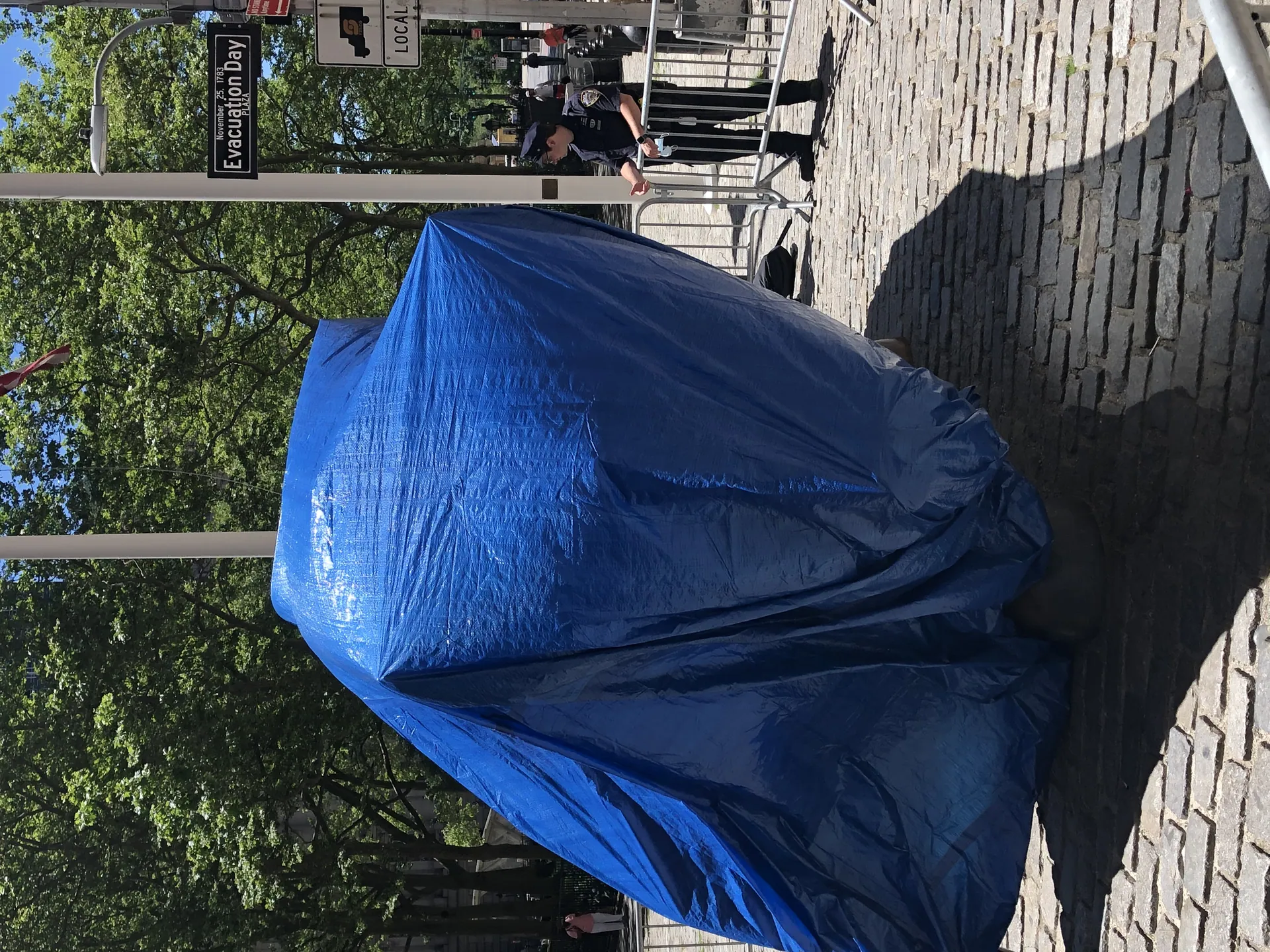 Charging Bull Covered