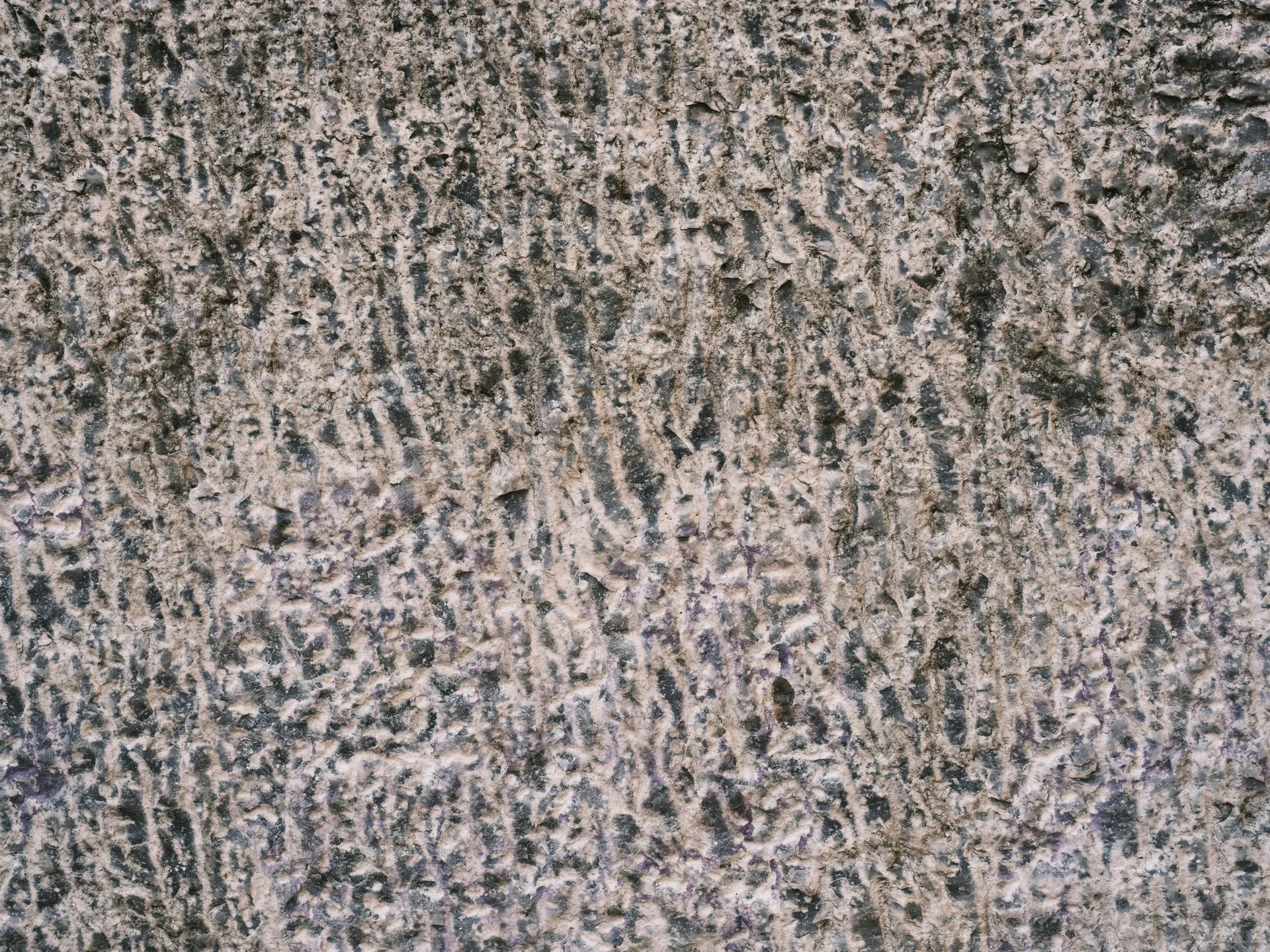 Close-up view of a detailed textured concrete surface showcasing unique patterns and textures.