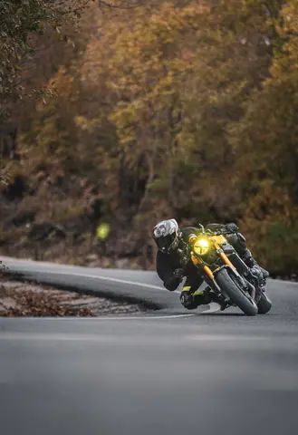A motorcyclist in full gear expertly leans into a curve surrounded by autumn foliage on a country road.