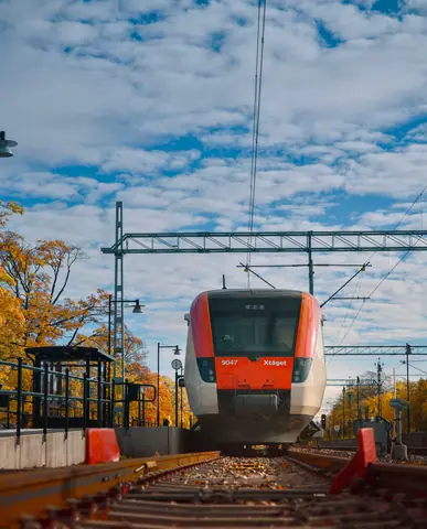 Front view of a red and white train on tracks surrounded by autumn foliage in Sweden.