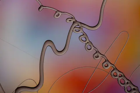 Vibrant abstract image featuring fluid, organic shapes against a colorful gradient background. Perfect for creative design needs.