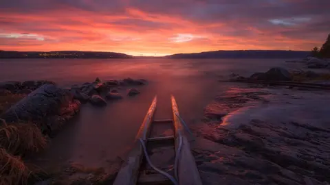 Pink Sunset Over Calm Lake Shoreline - backiee