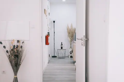 A minimalist interior view featuring an open door, white walls, and decor elements.