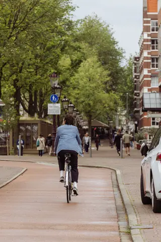 A cyclist leisurely rides through a tranquil Amsterdam street in springtime.