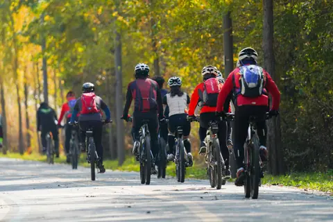 A group of cyclists navigate a scenic forest trail on a sunny day, showcasing outdoor adventure.