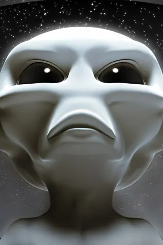 iwalls-183