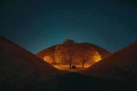 leafless-tree-on-brown-field-during-night-time-ep