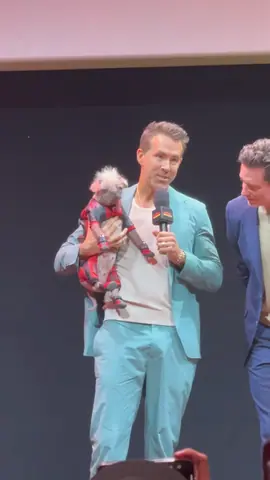 Ryan Reynolds brings out Peggy! from YouTube at 0-0-23 (2024)