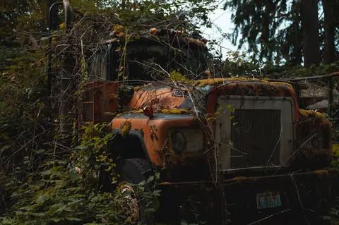 A rusty old truck abandoned in a dense, overgrown forest, covered with branches and leaves.