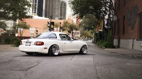 wp2362993-2490659705