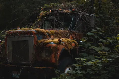 An abandoned rusty truck overtaken by lush forest plants and moss, creating a scene of natural decay.