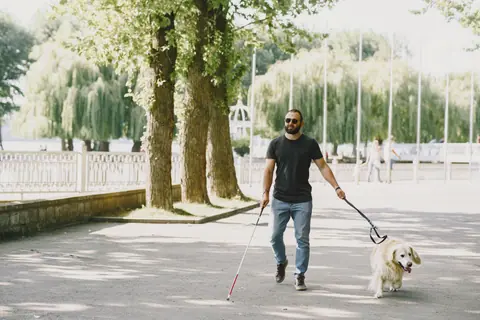 Blind man with guide dog walking in a sunny park, showcasing assistance and independence.