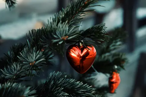 A close-up of a red heart-shaped ornament hanging on a green fir branch during winter.