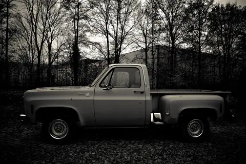 Classic vintage pickup truck parked in a monochrome outdoor setting with trees in the background.