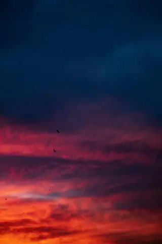 A dramatic twilight sky scene with colorful clouds and birds in silhouette.