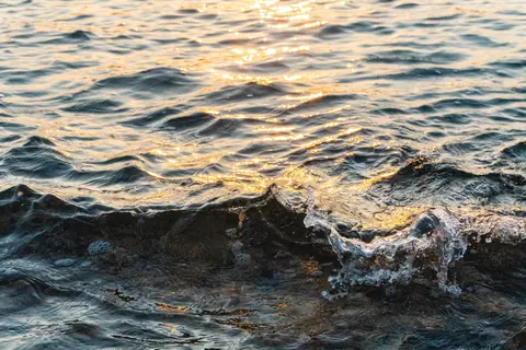 Waves gently ripple under the golden light of a sunset, creating a serene nature scene.